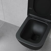 Lauter Nuremberg 21811B черный + Breez 21GN7072BM Image #28