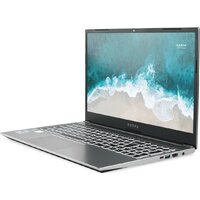 Nerpa Caspica A342-14KB082602G Image #3