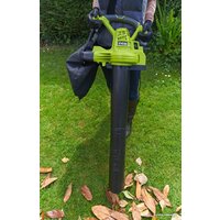 Ryobi RBV3000CSV Image #4