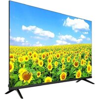 Aiwa 43NG-U5300B Image #2