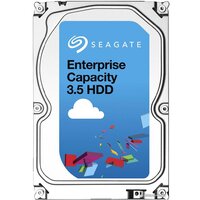 Seagate Enterprise Capacity 1TB [ST1000NM0045]