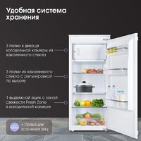 Zigmund & Shtain BR 22 X Image #7