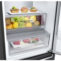 LG GC-B509SBSM Image #15