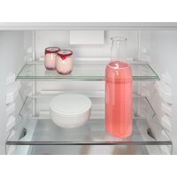 Liebherr SRBsfe 5220 Plus BioFresh 5220-20001 Image #20