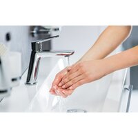 Ravak Classic-CL 012.00 [X070080] Image #4