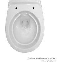 Керамин Санти R Slim + S-IN-MZ-VECTOR + P-BU-MOV/Blg/Gl Image #8