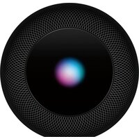 Apple HomePod (серый космос) Image #2