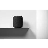 Apple HomePod (серый космос) Image #4