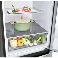 LG DoorCooling+ GA-B509MMZL Image #7