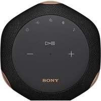 Sony SRS-RA3000 (черный) Image #3