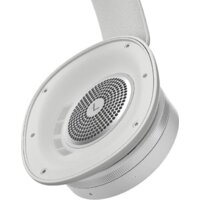 Bang & Olufsen Beoplay H95 (серый) Image #13