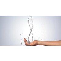 Hansgrohe Raindance Select S 120 27648000 (хром) Image #4