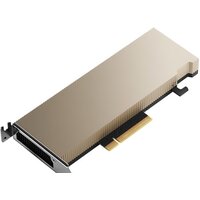 NVIDIA A2 16GB GDDR6 900-2G179-0020-000