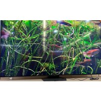 Samsung QLED 4K Q80C QE75Q80CATXXU - Уценка Image #4